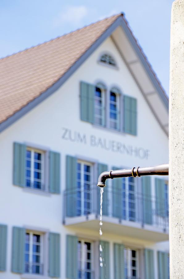 Gasthaus Zum Bauernhof Oberlunkhofen Buitenkant foto
